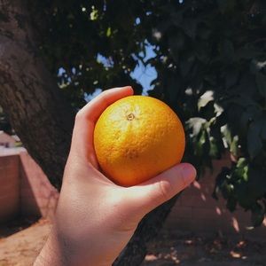 Meet your Posher, Andy